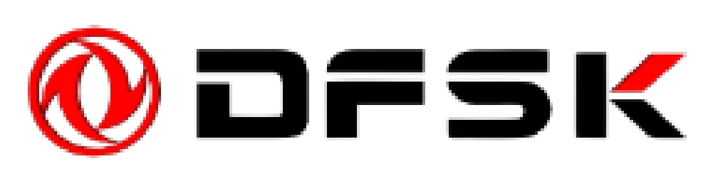dfsk